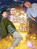 奇异之旅海报